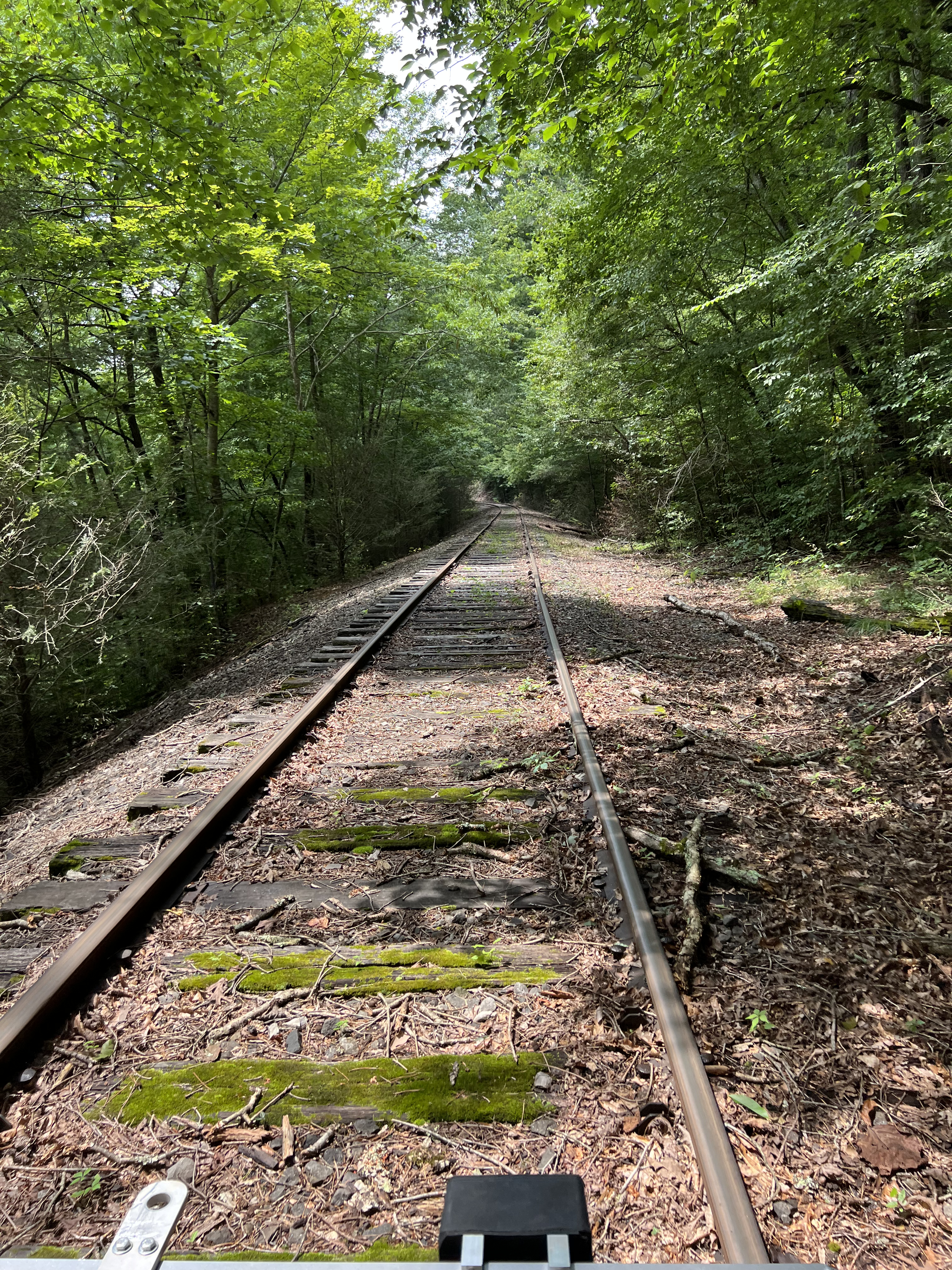 ./2023/11 - Asheville/IMG_9891.jpg